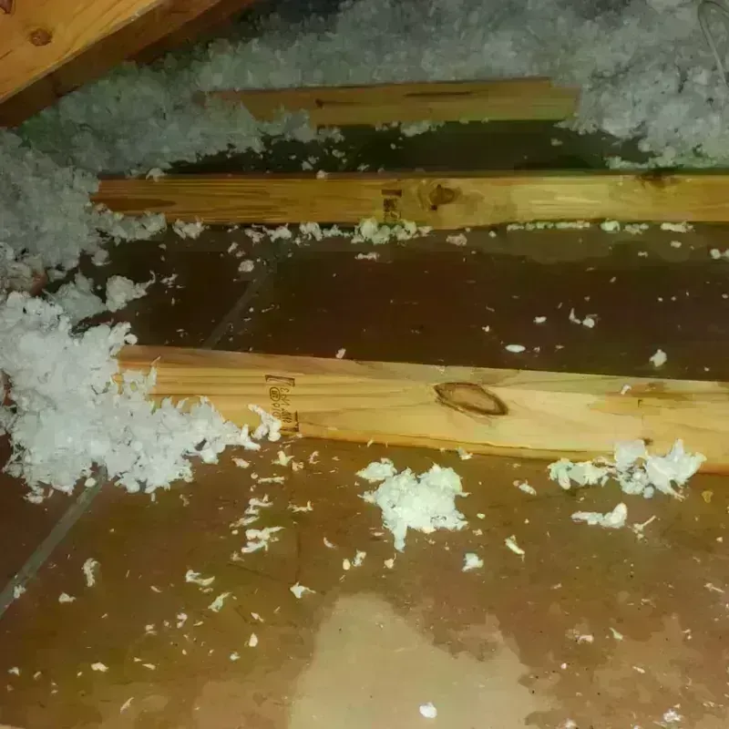 Attic Water Damage in Southfield, MI