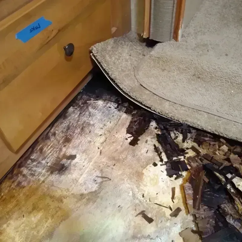 Wood Floor Water Damage in Southfield, MI